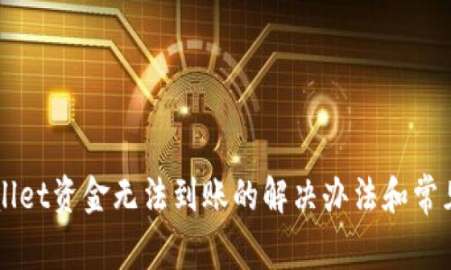 转入tpWallet资金无法到账的解决办法和常见问题解析