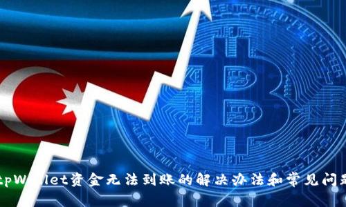 转入tpWallet资金无法到账的解决办法和常见问题解析