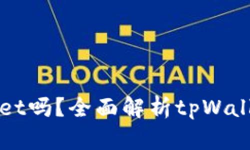 是什么币都能提到tpWallet吗？全面解析tpWallet支持的币种与提币功能