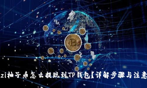 br
bianzi柚子币怎么提现到TP钱包？详解步骤与注意事项