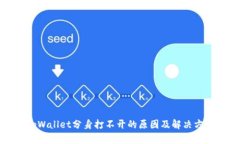 tpWallet分身打不开的原因及