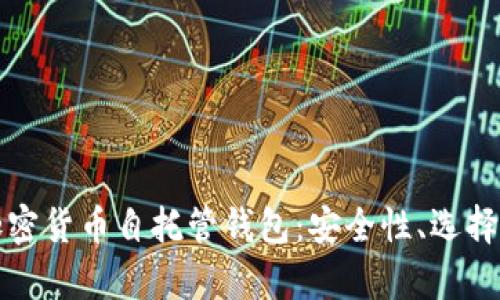 全面解析加密货币自托管钱包：安全性、选择和使用指南