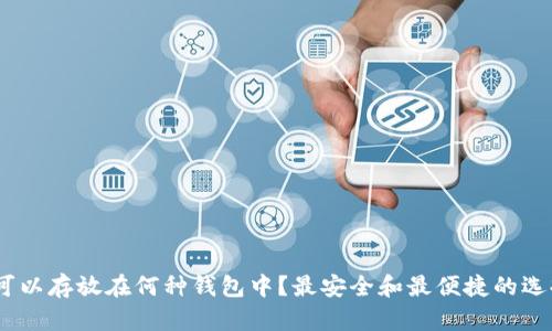 USDT可以存放在何种钱包中？最安全和最便捷的选择一览