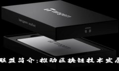 区块链服务联盟简介：推