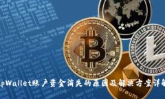 tpWallet账户资金消失的原因