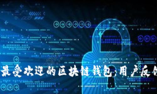 2023年全球最受欢迎的区块链钱包：用户反馈与功能比较