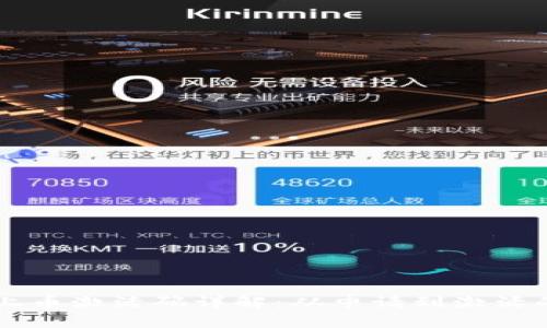 tpWallet上币激活码详解：从申请到激活的完整指南