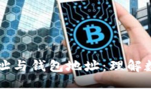 区块链网络中的地址与钱包地址：理解数字资产管理的核心
