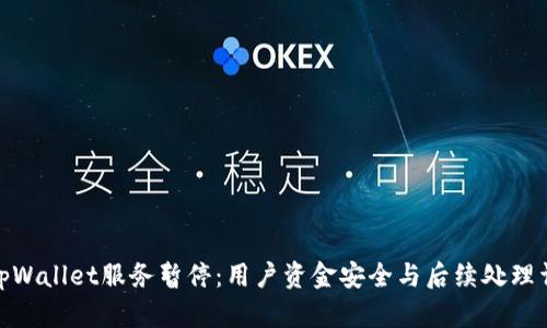 : tpWallet服务暂停：用户资金安全与后续处理详解