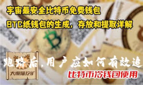 tpWallet投资项目跑路后，用户应如何有效追讨损失的详细指南