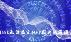 探讨tpWallet无法显示NFT图片