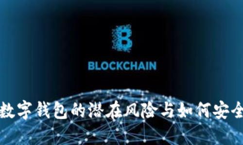 注册数字钱包的潜在风险与如何安全管理