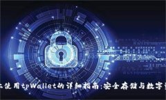 在电脑上使用tpWallet的详细指南：安全存储与数字