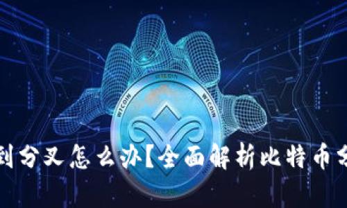 比特币放钱包遇到分叉怎么办？全面解析比特币分叉及其应对策略