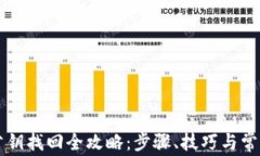 tpWallet公钥找回全攻略：步骤、技巧与常见问题解