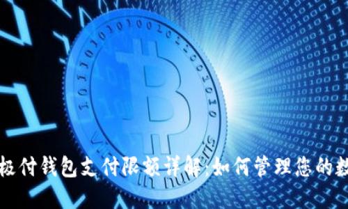 比特币极付钱包支付限额详解：如何管理您的数字资产