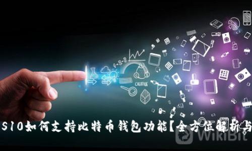 三星手机S10如何支持比特币钱包功能？全方位解析与使用指南