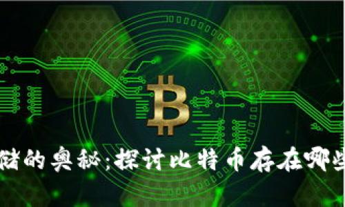 揭开比特币存储的奥秘：探讨比特币存在哪些类型的钱包中