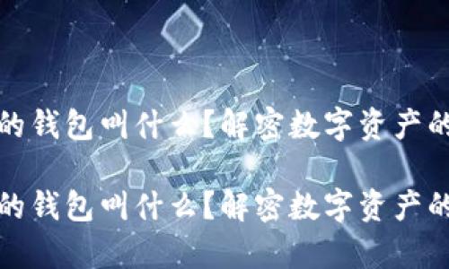 存放虚拟币的钱包叫什么？解密数字资产的安全守护者

存放虚拟币的钱包叫什么？解密数字资产的安全守护者