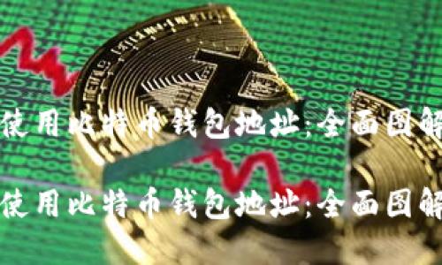 如何理解与使用比特币钱包地址：全面图解与实用指南

如何理解与使用比特币钱包地址：全面图解与实用指南