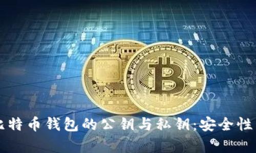 深入解析比特币钱包的公钥与私钥：安全性与使用指南