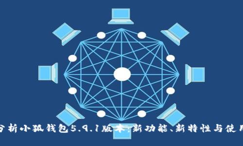 全面分析小狐钱包5.9.1版本：新功能、新特性与使用体验