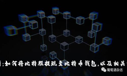 全面解析：如何将比特股提现至比特币钱包，以及相关注意事项