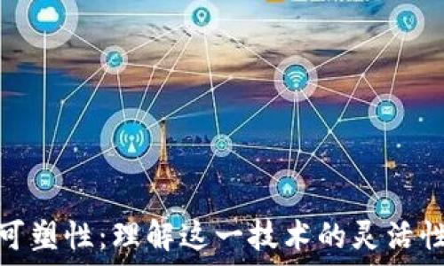  
区块链的可塑性：理解这一技术的灵活性与适应性