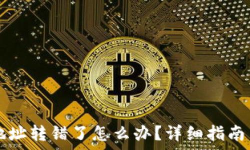  
tpWallet地址转错了怎么办？详细指南与解决方案