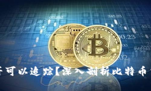 比特币钱包是否可以追踪？深入剖析比特币交易隐私与安全