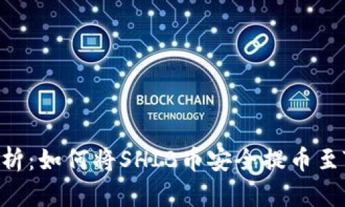 : 全面解析：如何将SHIB币安全提币至TPWallet