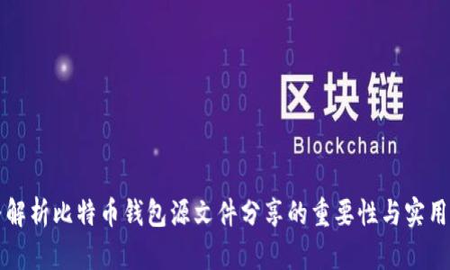 完整解析比特币钱包源文件分享的重要性与实用指南