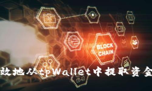 如何安全有效地从tpWallet中提取资金？全面指南!