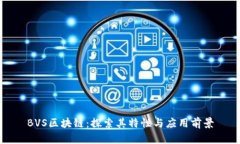 BVS区块链：探索其特性与应用前景
