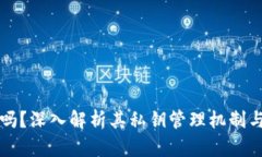 tpWallet安全吗？深入解析其私钥管理机制与用户隐