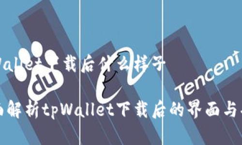 tpWallet下载后什么样子

全面解析tpWallet下载后的界面与功能