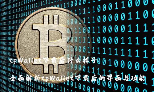 tpWallet下载后什么样子

全面解析tpWallet下载后的界面与功能