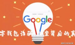 揭露比特币数字钱包诈骗：立案背后的真相与应