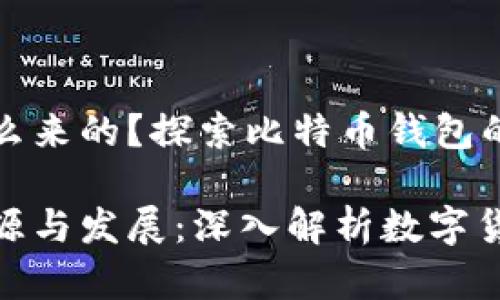 比特币钱包是怎么来的？探索比特币钱包的发展历程与现状

比特币钱包的起源与发展：深入解析数字货币储存的演变